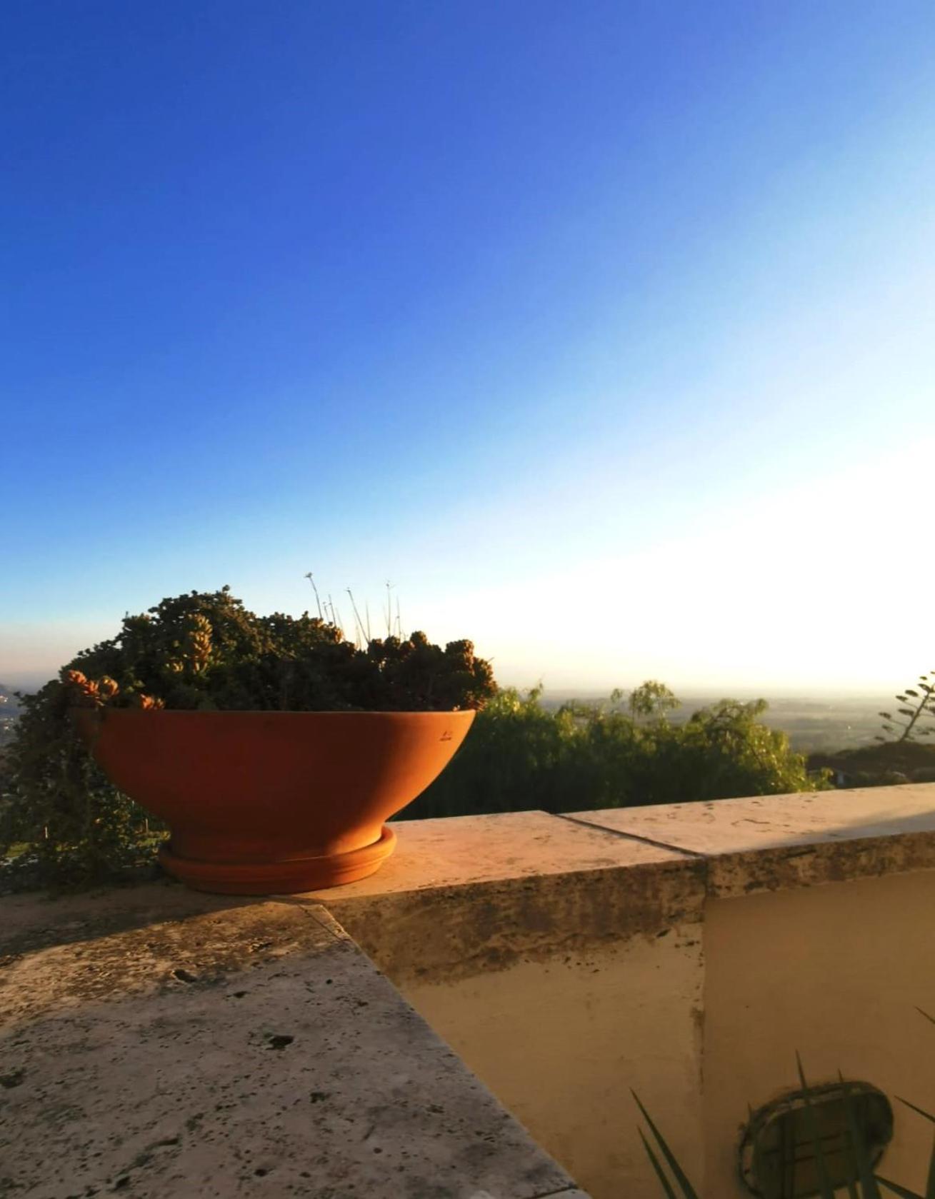 Villa Dei Romani - Country House Guidonia Montecelio Ngoại thất bức ảnh