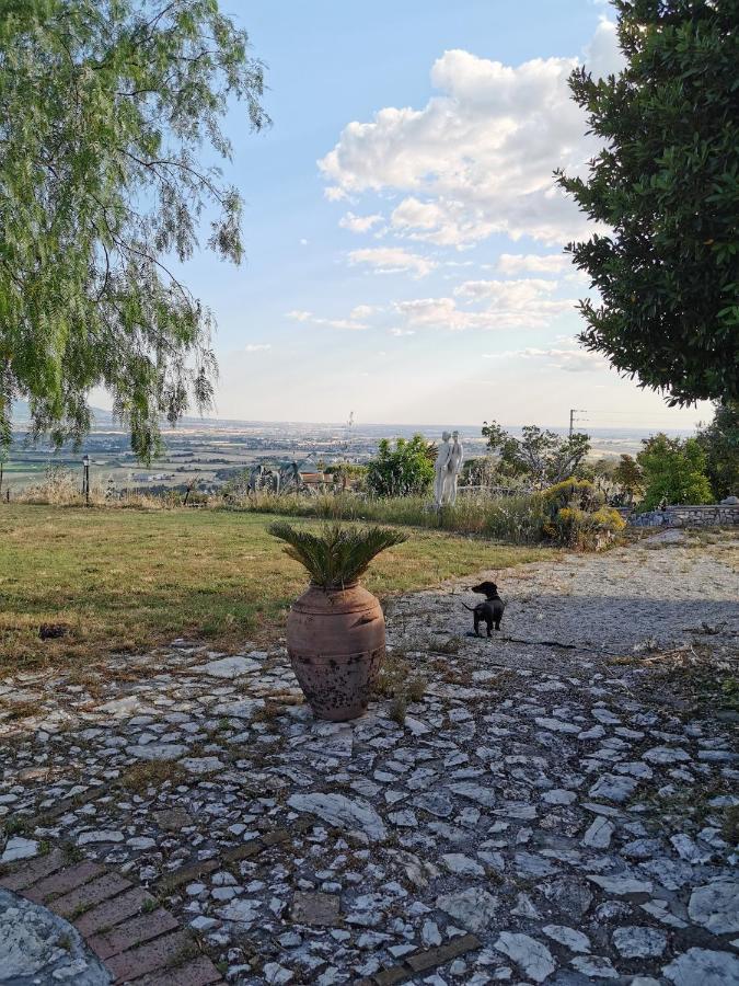 Villa Dei Romani - Country House Guidonia Montecelio Ngoại thất bức ảnh